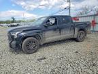 2024 Toyota Tundra Sr5, Copart US lot 50118996: photo 1, Vandalism