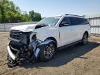 2025 Ford Expedition Max Active, auction photograph