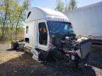 2025 Freightliner Cascadia 126 Semi Truck, auction photograph