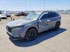 2025 Honda Sport, auction photograph