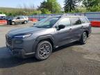 2026 Subaru Outback Premium, auction photograph